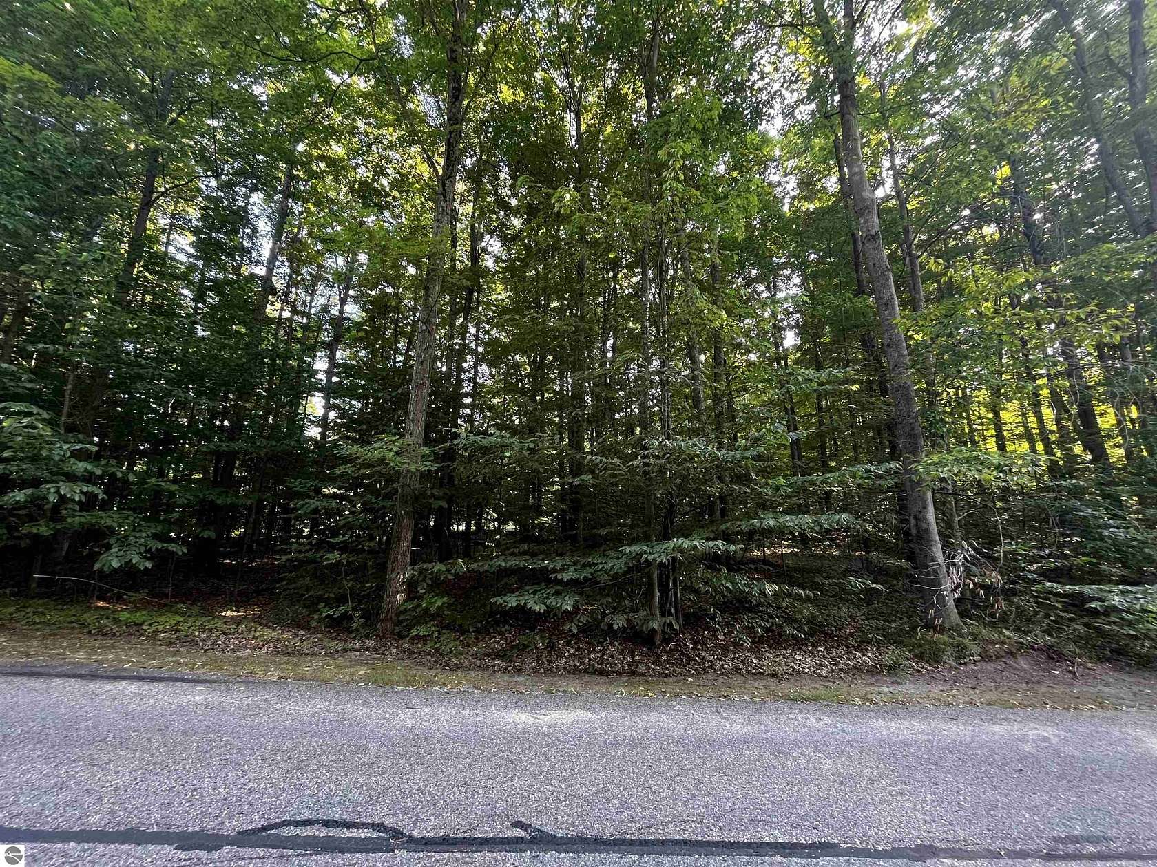 0.36 Acres of Land for Sale in Bellaire, Michigan