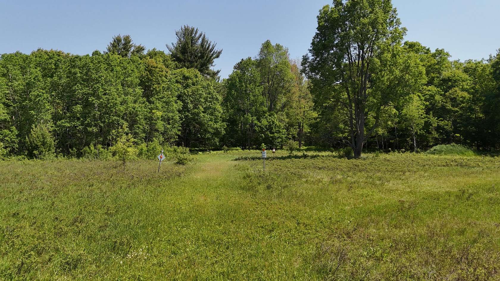 10 Acres of Recreational Land for Sale in Brethren, Michigan