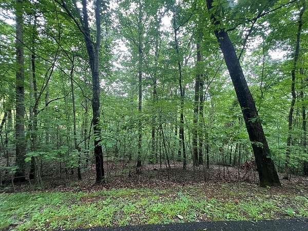 0.99 Acres of Residential Land for Sale in Hayesville, North Carolina
