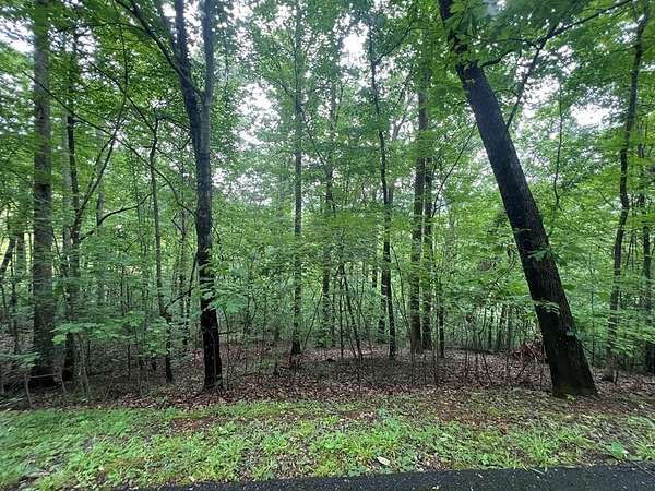 0.99 Acres of Land for Sale in Hayesville, North Carolina