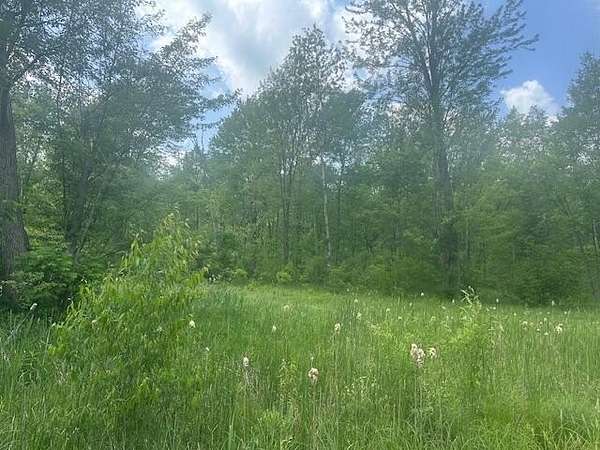 5 Acres of Land for Sale in White Cloud, Michigan