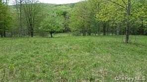 55 Acres of Recreational Land for Sale in Youngsville, New York