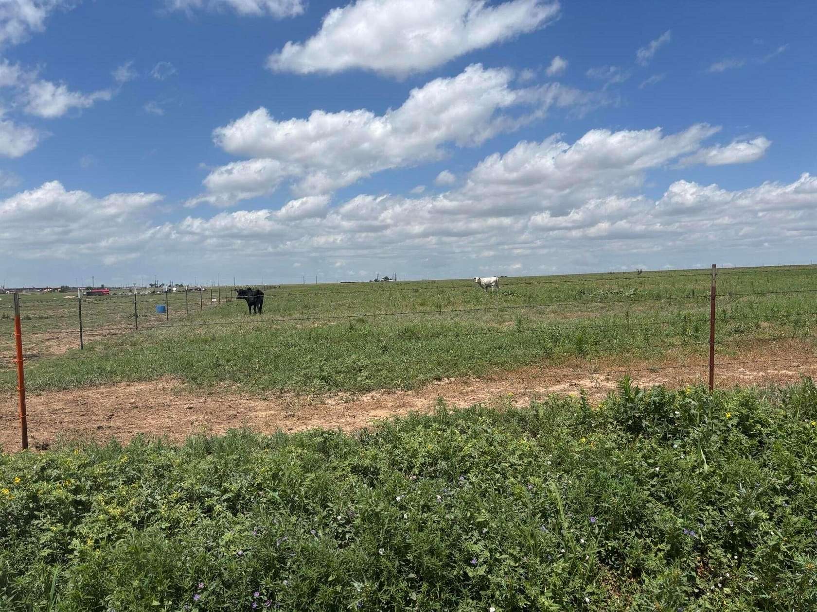 14.8 Acres of Land for Sale in Amarillo, Texas