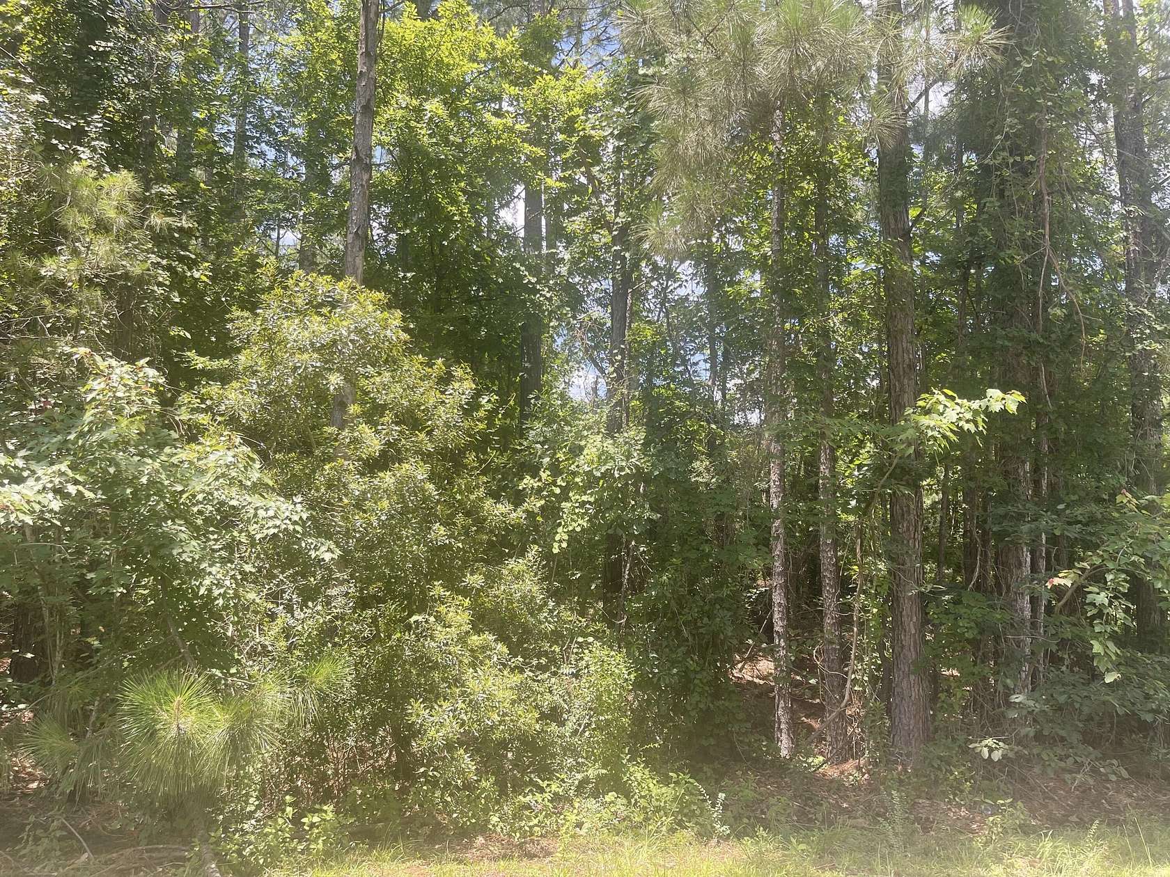 1 Acre of Residential Land for Sale in Hattiesburg, Mississippi