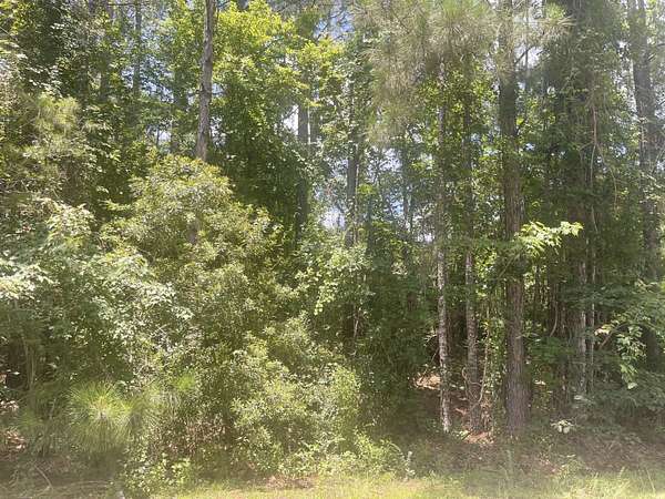 1 Acre of Residential Land for Sale in Hattiesburg, Mississippi
