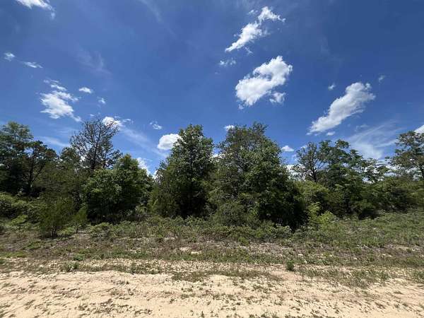 1 Acre of Residential Land for Sale in Marianna, Florida