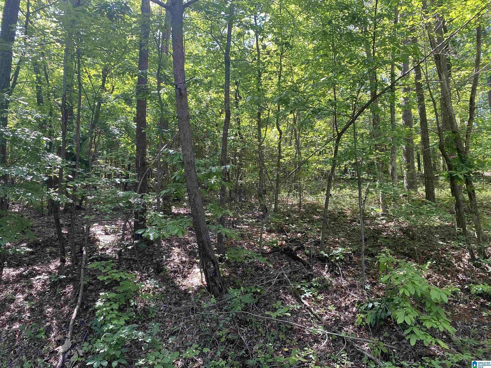 0.9 Acres of Land for Sale in Brookwood, Alabama