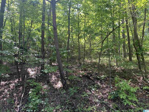 0.9 Acres of Land for Sale in Brookwood, Alabama