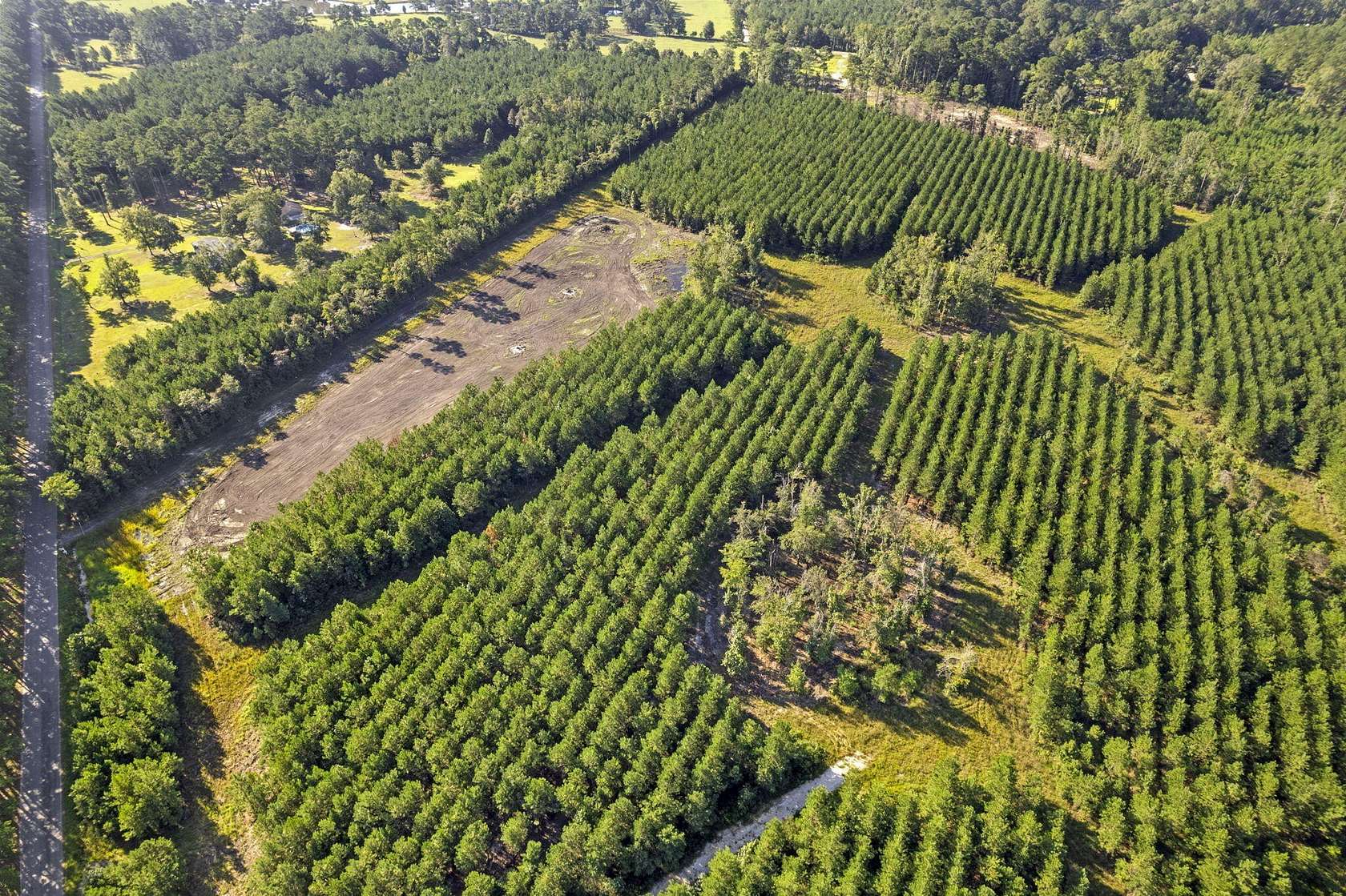 4 Acres of Land for Sale in Ridgeville, South Carolina