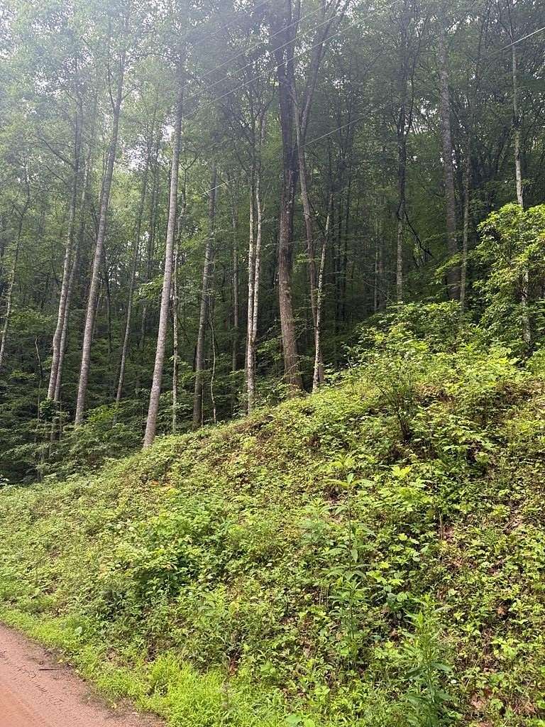 1.54 Acres of Land for Sale in Franklin, North Carolina