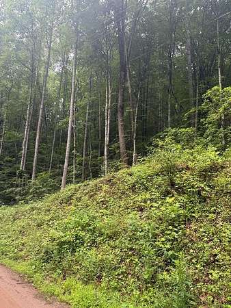 1.54 Acres of Land for Sale in Franklin, North Carolina