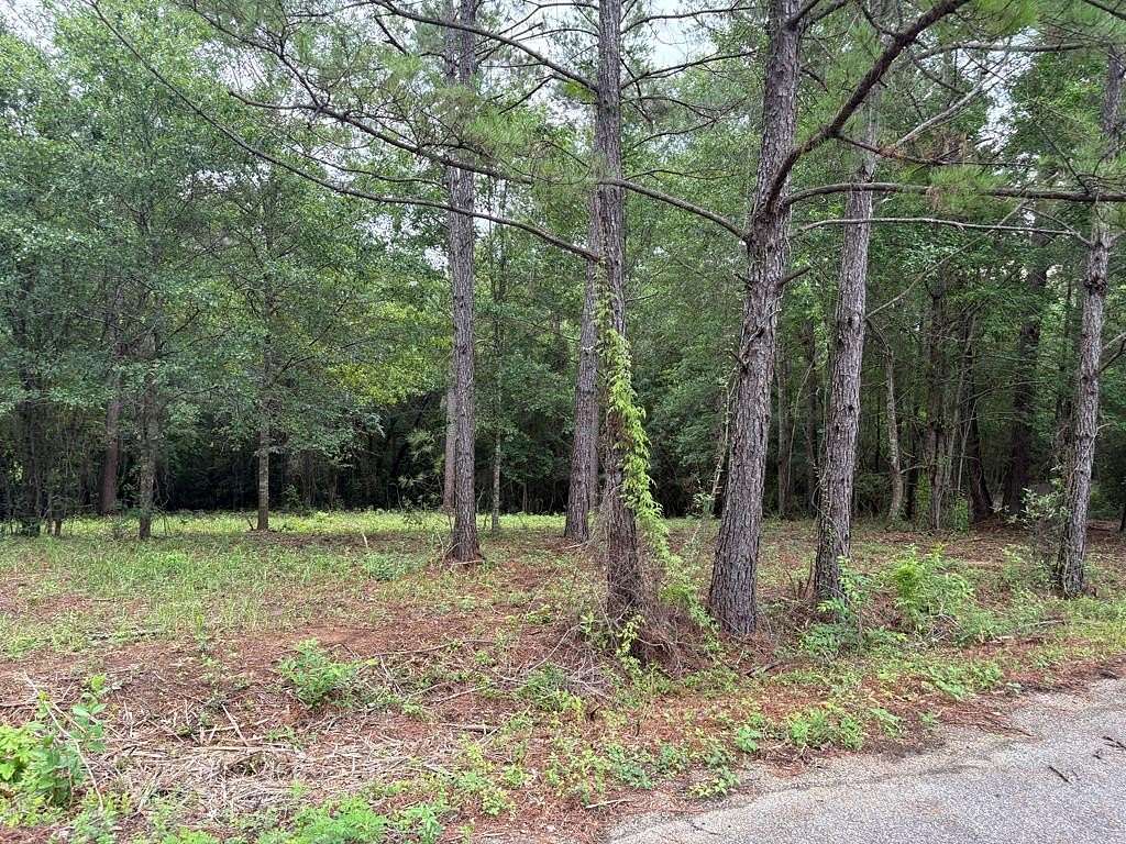 0.92 Acres of Residential Land for Sale in Carriere, Mississippi