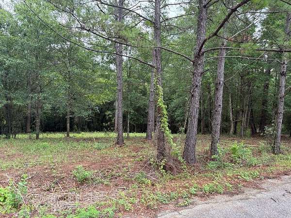 0.92 Acres of Residential Land for Sale in Carriere, Mississippi
