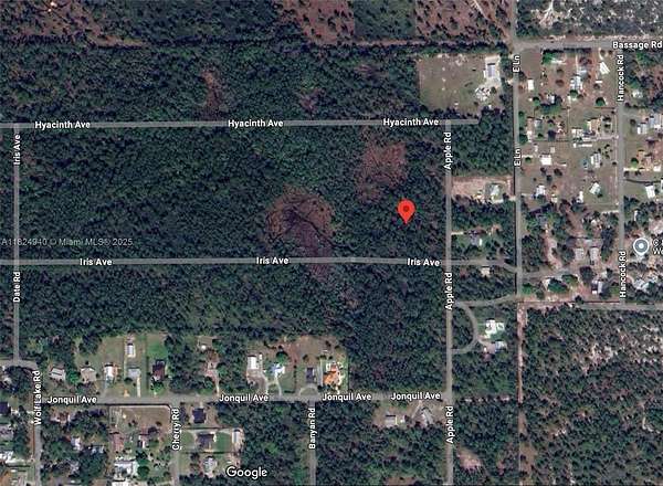 1 Acre of Residential Land for Sale in Sebring, Florida