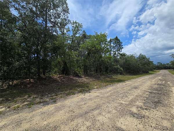 0.22 Acres of Residential Land for Sale in Dunnellon, Florida