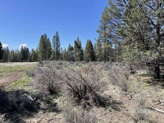 10 Acres of Land for Sale in Chiloquin, Oregon