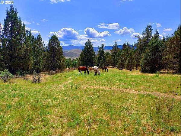 240 Acres of Recreational Land & Farm for Sale in Dayville, Oregon