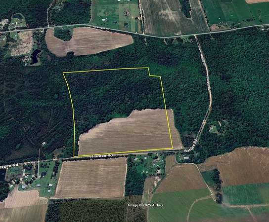 72.5 Acres of Recreational Land for Sale in Valdosta, Georgia