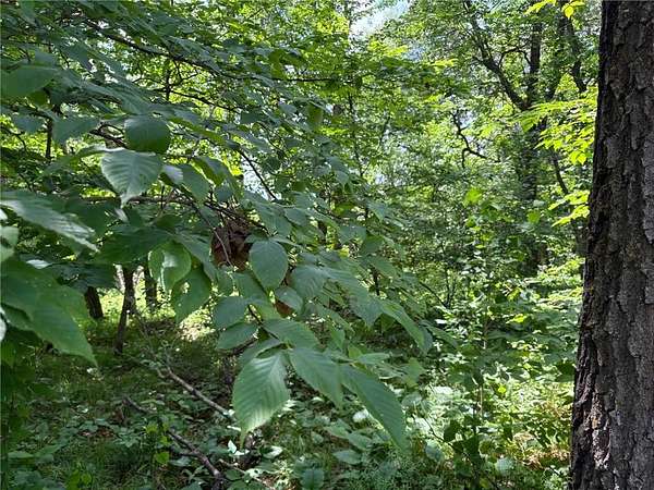 0.73 Acres of Residential Land for Sale in Browerville, Minnesota