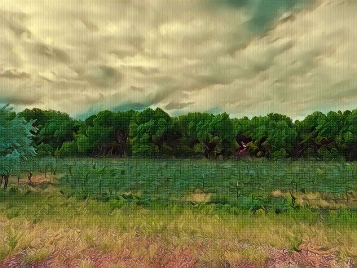 6.23 Acres of Land with Home for Sale in Santa Fe, New Mexico