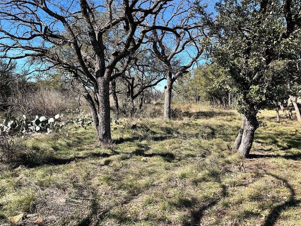 0.33 Acres of Land for Sale in Brownwood, Texas