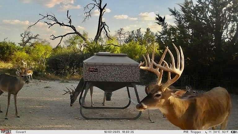 140 Acres of Land for Sale in Goldthwaite, Texas