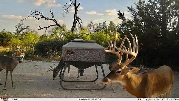 140 Acres of Land for Sale in Goldthwaite, Texas