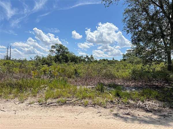 1 Acre of Residential Land for Sale in Dunnellon, Florida