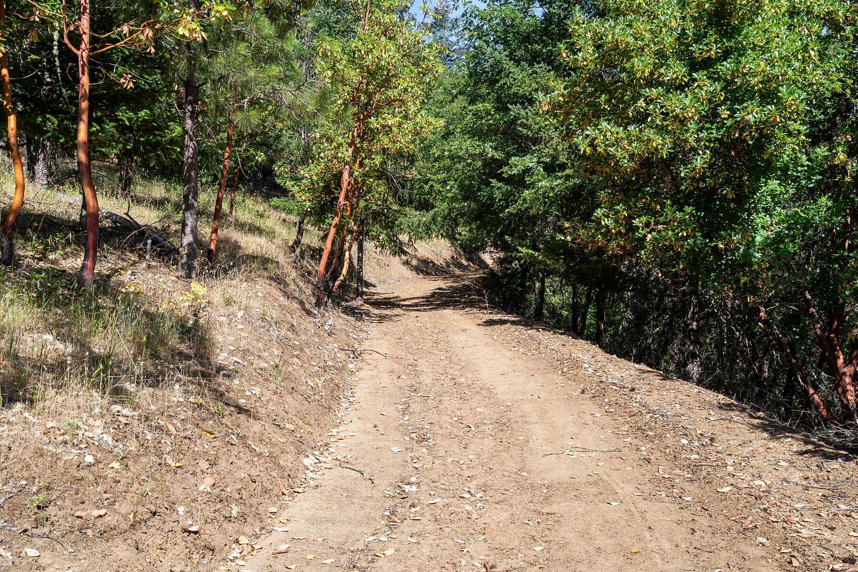 11.1 Acres of Land for Sale in Grants Pass, Oregon