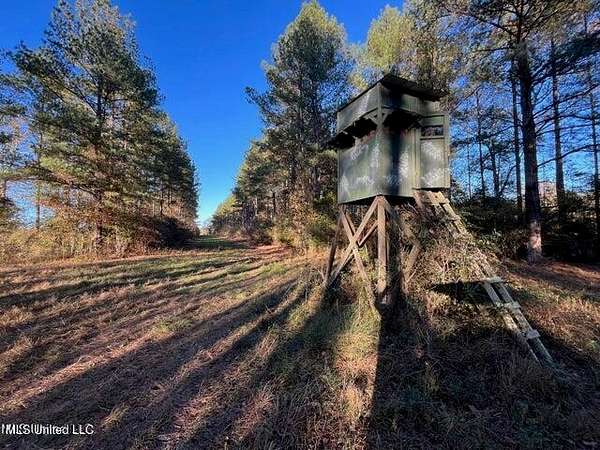 132 Acres of Recreational Land & Farm for Sale in Heidelberg, Mississippi