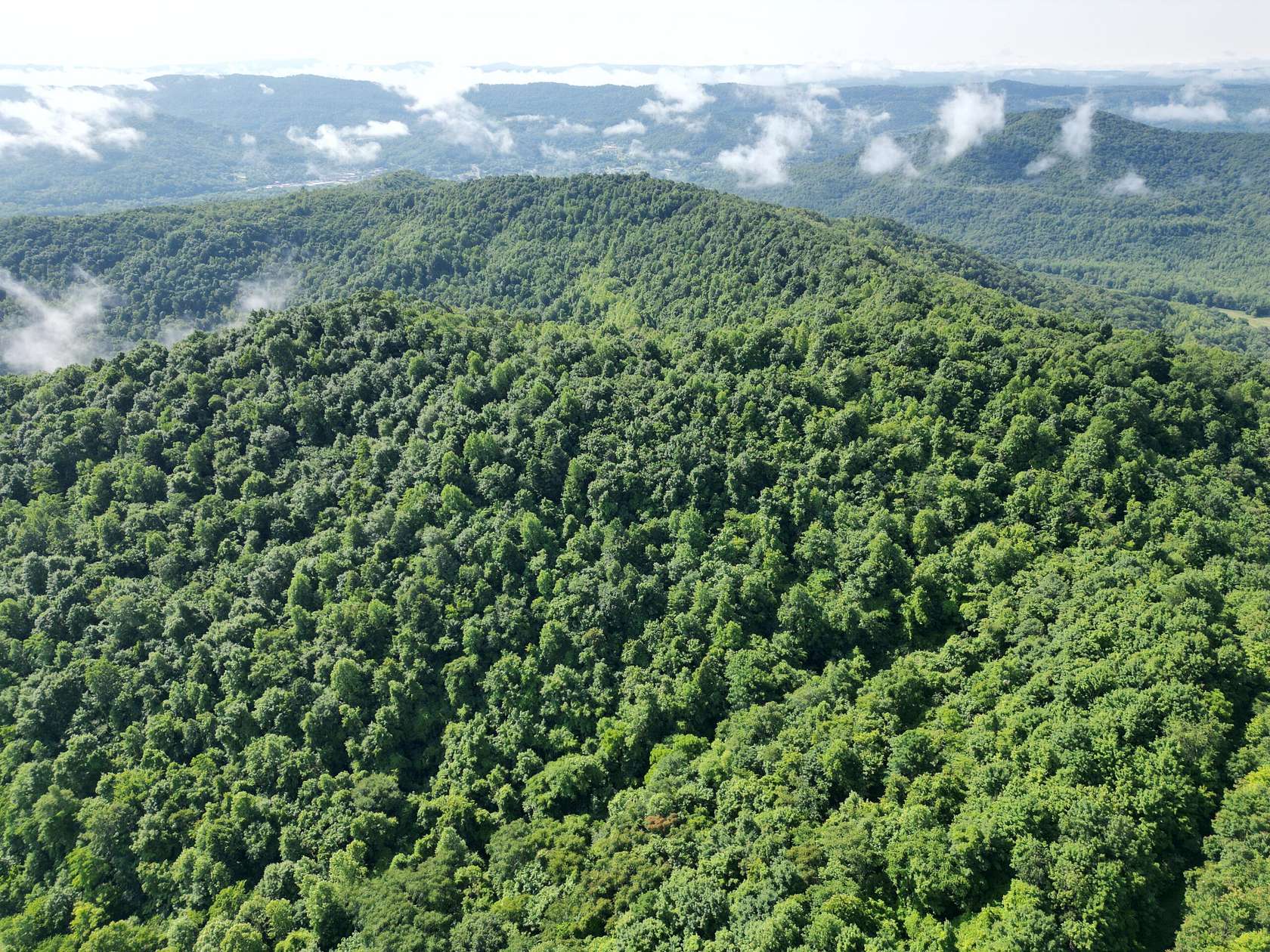 498 Acres of Recreational Land for Sale in Williamsburg, Kentucky