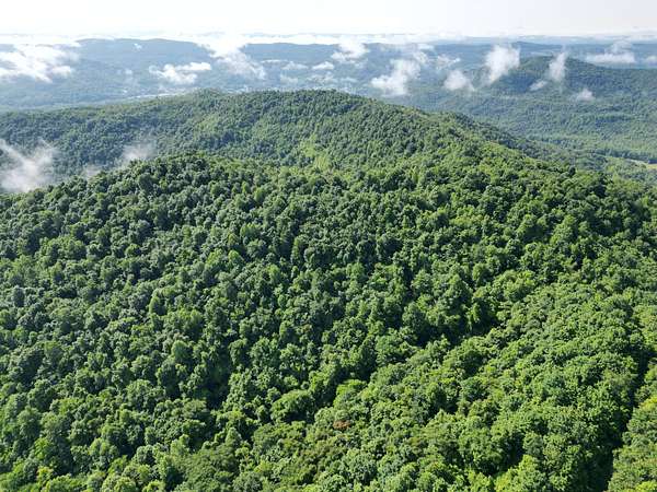 498 Acres of Recreational Land for Sale in Williamsburg, Kentucky