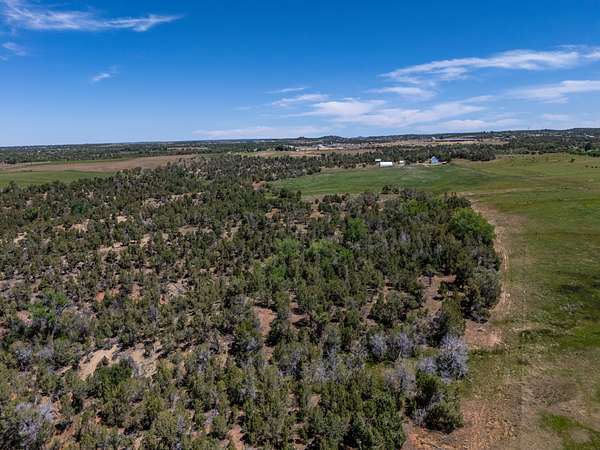 394 Acres of Recreational Land & Farm for Sale in Dolores, Colorado