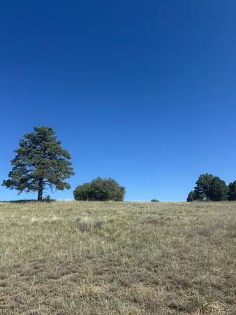 10 Acres of Agricultural Land for Sale in Chama, New Mexico