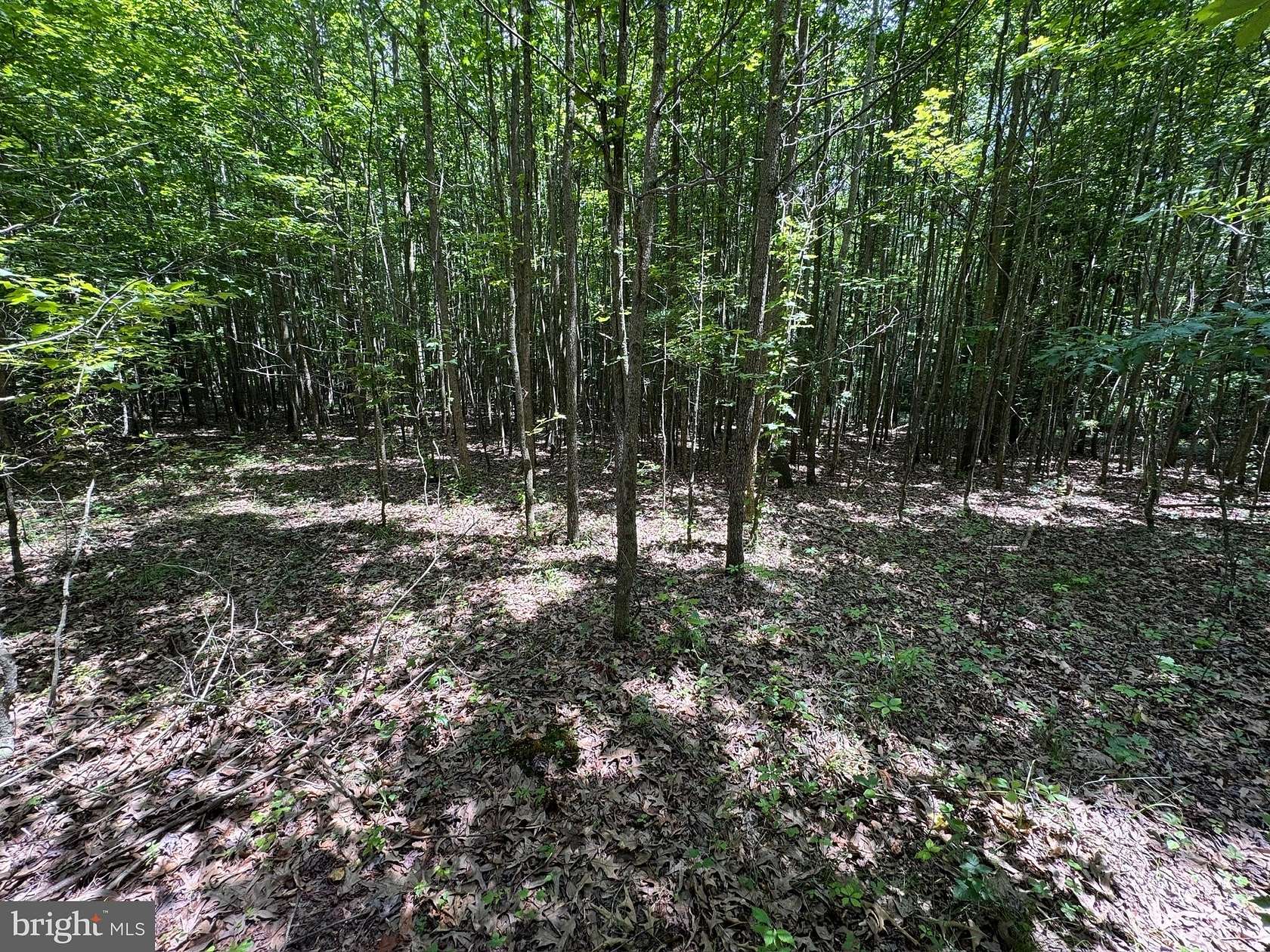 5 Acres of Residential Land for Sale in Henderson, Maryland