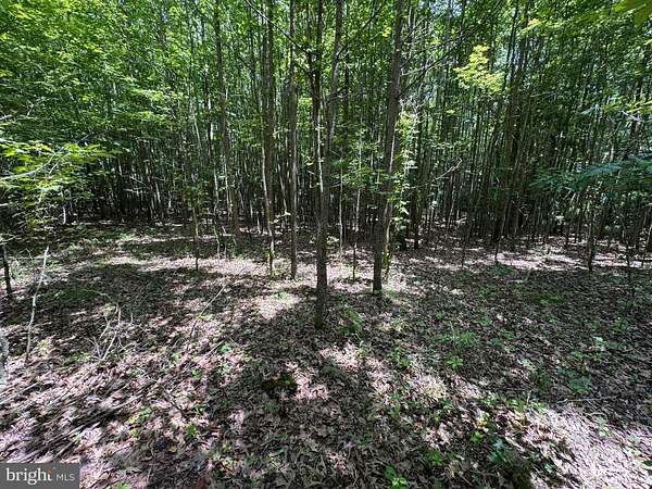5 Acres of Residential Land for Sale in Henderson, Maryland