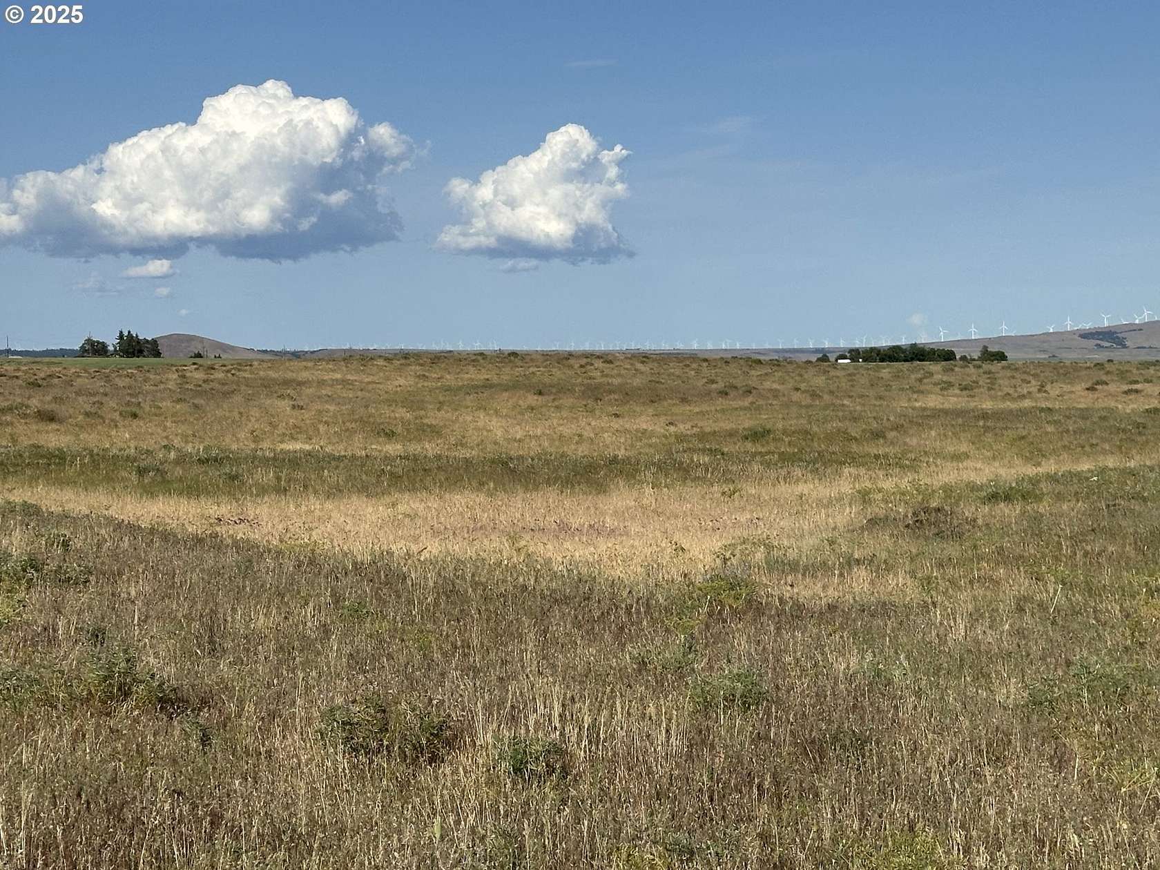 20 Acres of Land for Sale in Goldendale, Washington