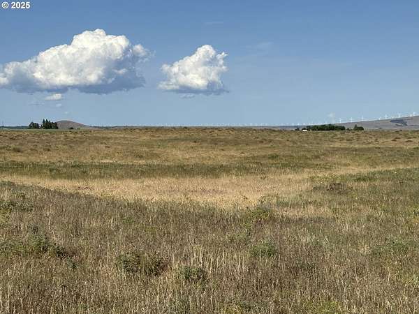 20 Acres of Land for Sale in Goldendale, Washington