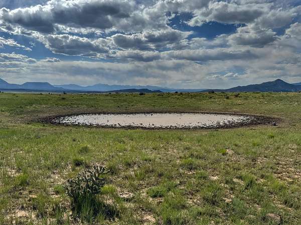 200 Acres of Land for Sale in Walsenburg, Colorado