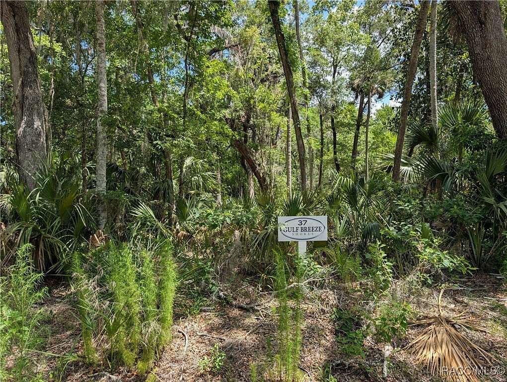 1.35 Acres of Residential Land for Sale in Inglis, Florida