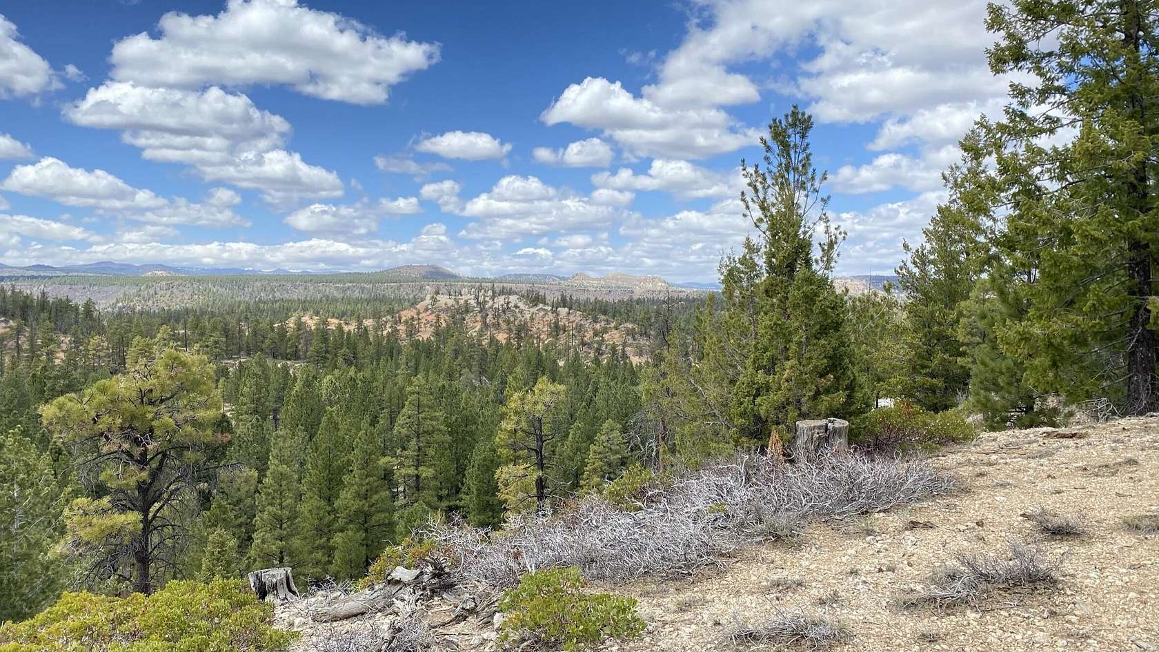 4.64 Acres of Residential Land for Sale in Duck Creek Village, Utah