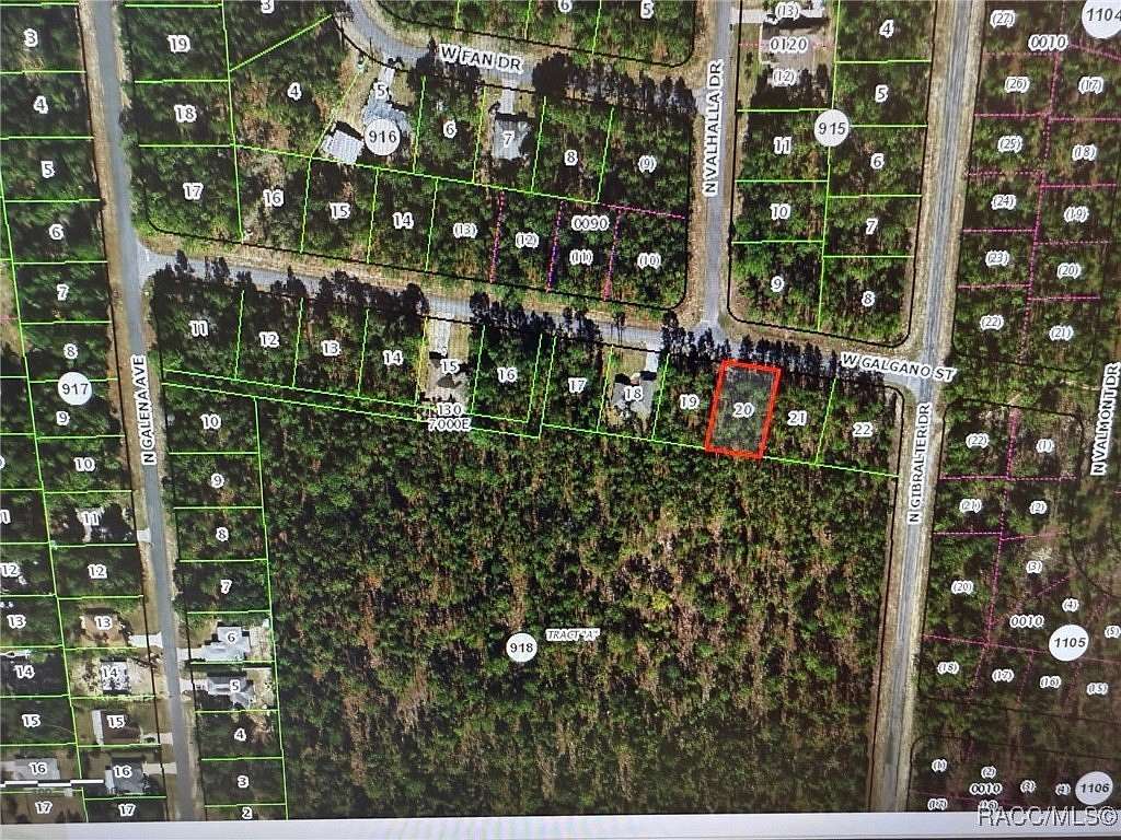 0.23 Acres of Land for Sale in Dunnellon, Florida