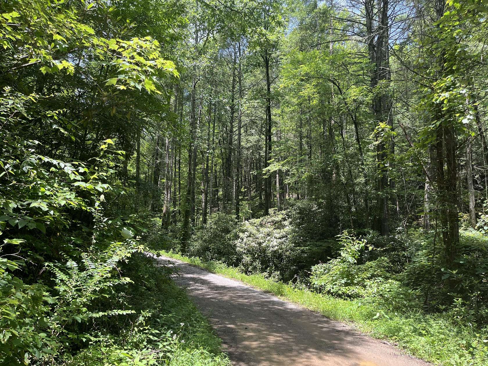 1.37 Acres of Land for Sale in Reliance, Tennessee