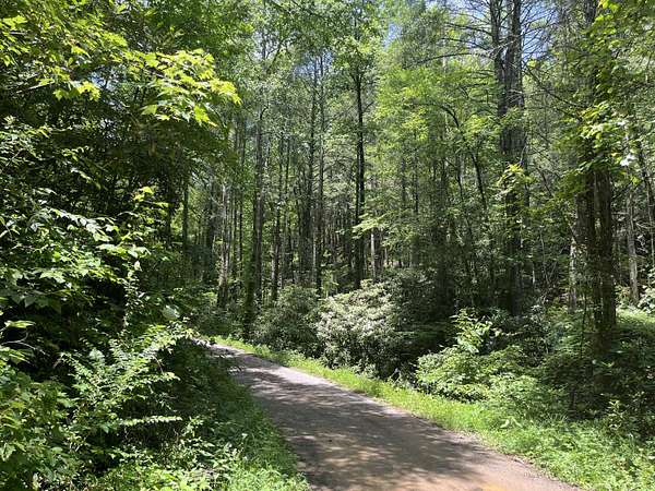 1.37 Acres of Land for Sale in Reliance, Tennessee