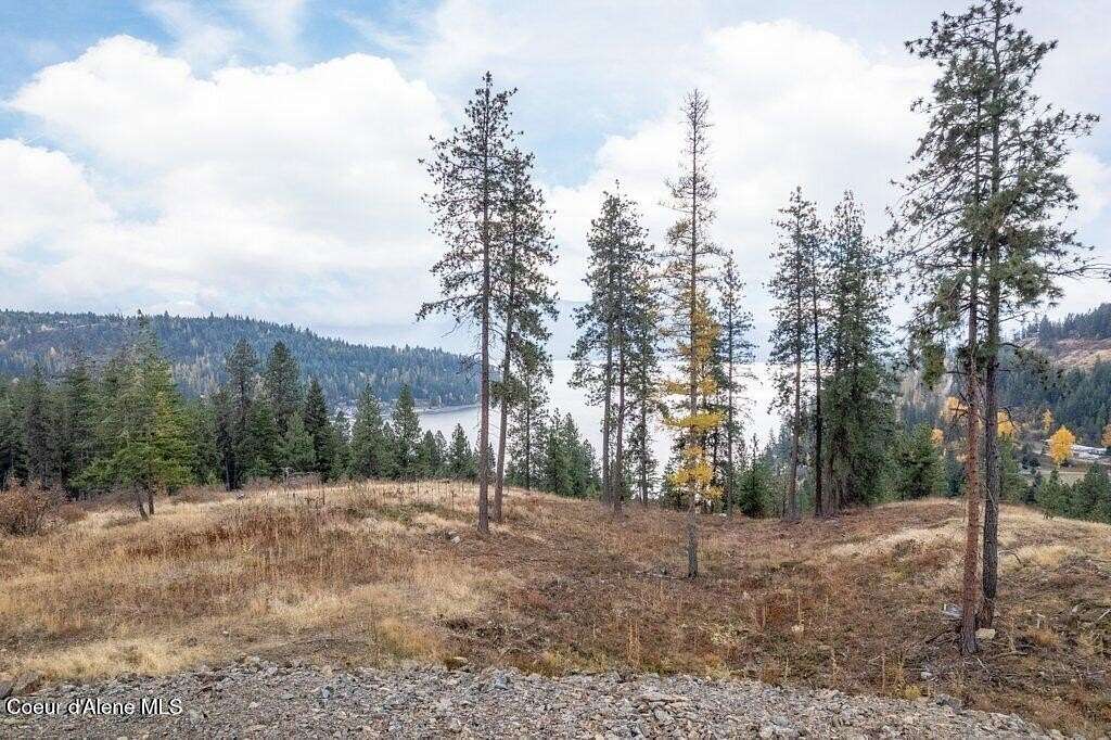 1 Acre of Residential Land for Sale in Sagle, Idaho