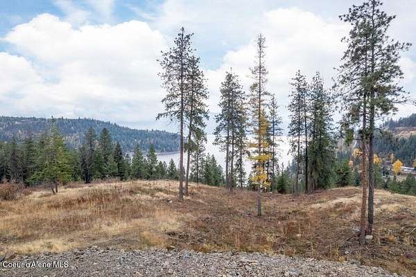 1 Acre of Residential Land for Sale in Sagle, Idaho