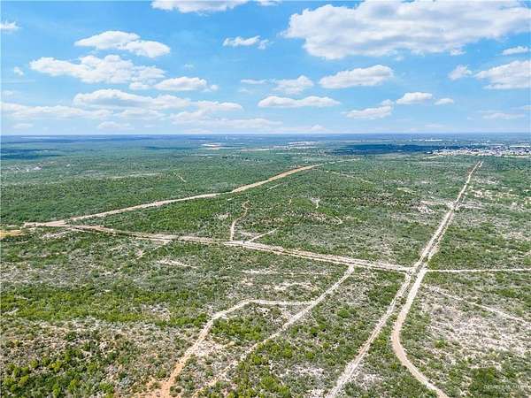 190 Acres of Land for Sale in Rio Grande City, Texas