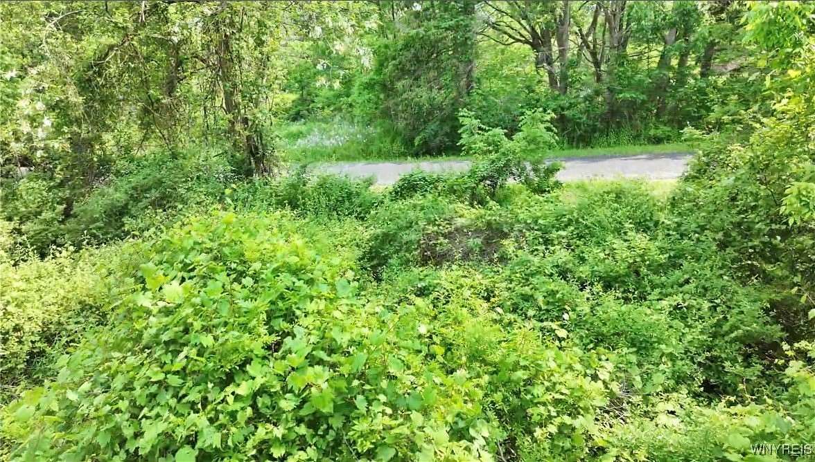 0.35 Acres of Residential Land for Sale in Ithaca, New York