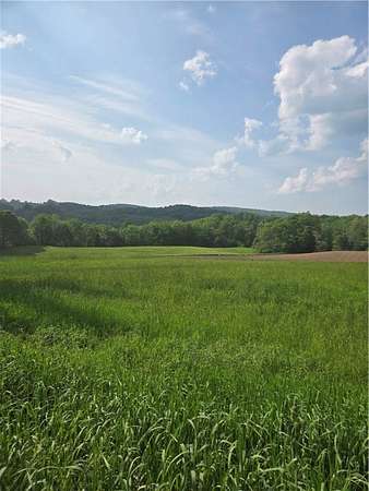 7.49 Acres of Residential Land for Sale in New Lisbon, New York