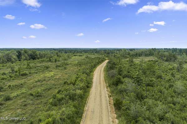 235 Acres of Recreational Land for Sale in Lucedale, Mississippi